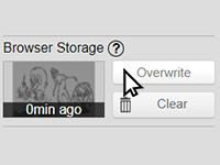 Browser storage keeps a local snapshot in your browser.